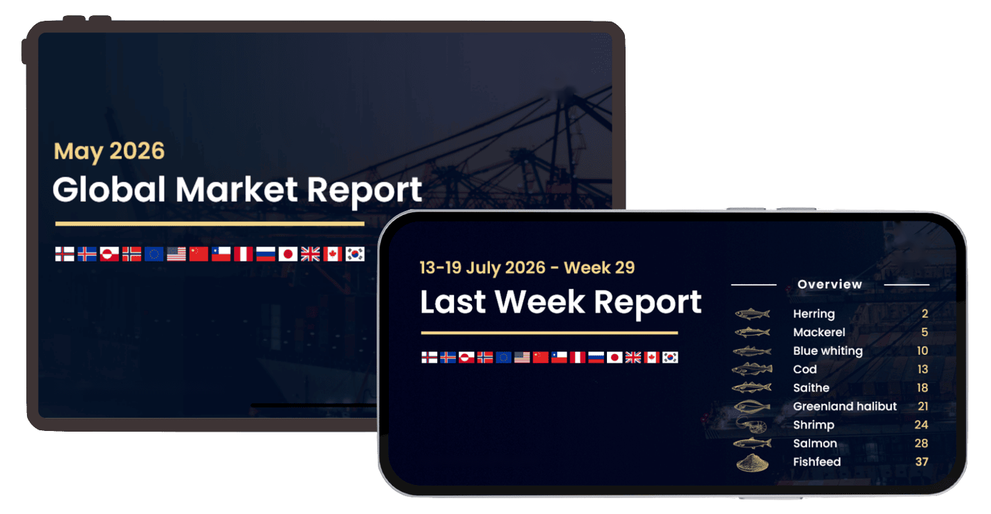 GlobalFishView market report mockups